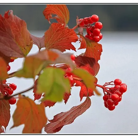 Πανσιόν Gintherhof