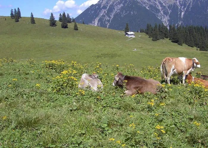 Gintherhof רויטה