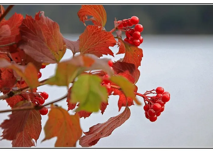 Gæstehus Gintherhof